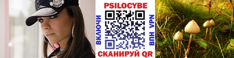 Купить где  Кореновск  Галлюциногенные грибы MAGIC MUSHROOMS 